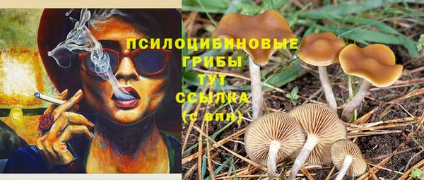 не бодяженный Баксан